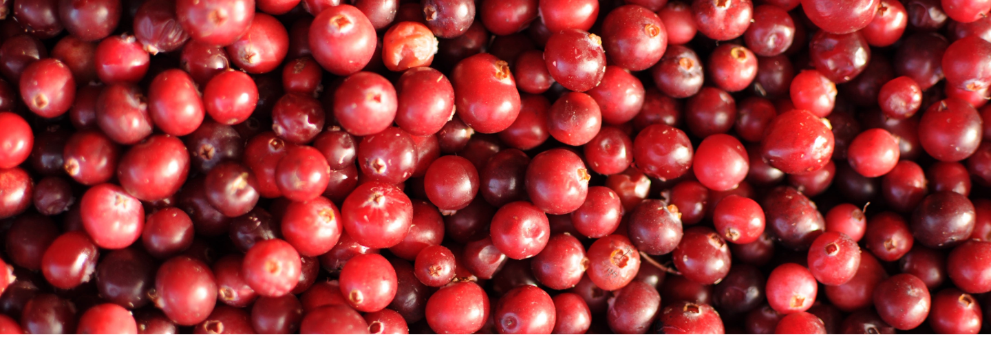 Cranberry Punch
 &ndash; JEVO